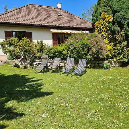 House Near Castle Park