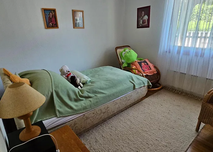 House Near Castle Park